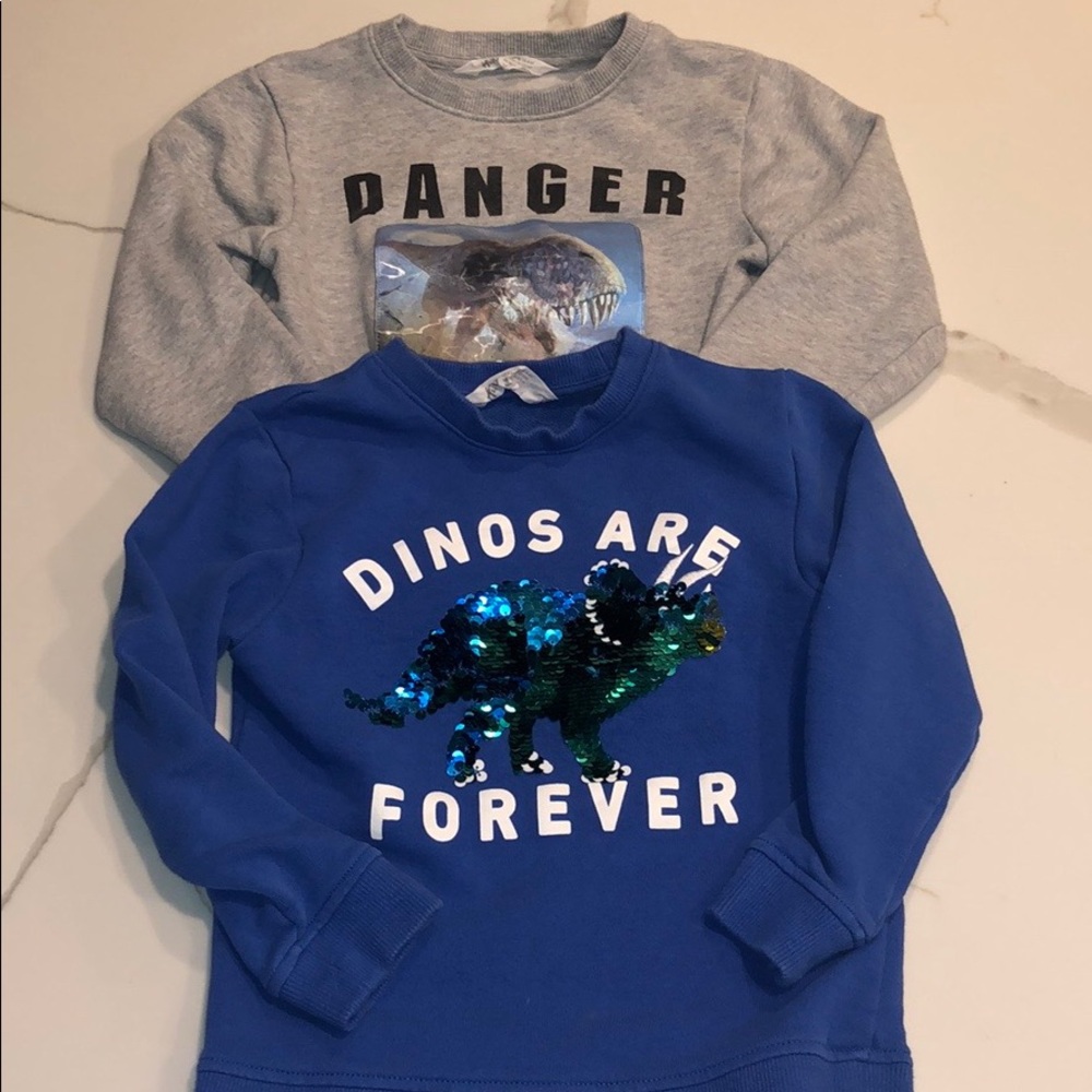 Size 4-6 Boys H&M Sweatshirts